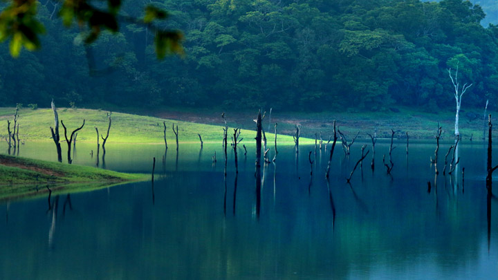 Thekkady Your Gateway To The Wild Kerala Tourism