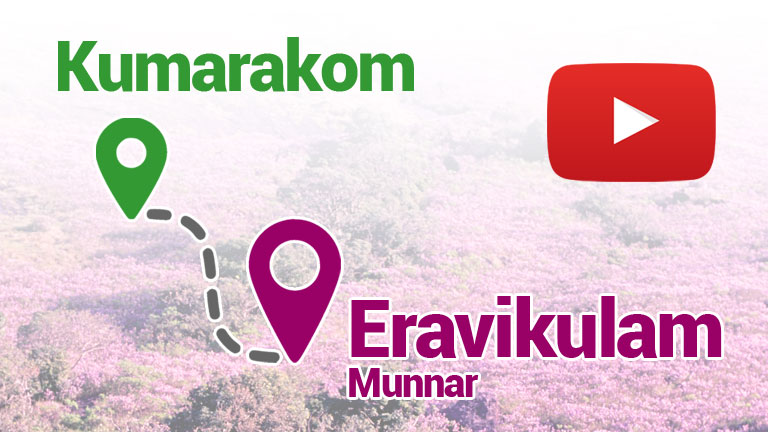 How to Reach Eravikulam from Kumarakom?