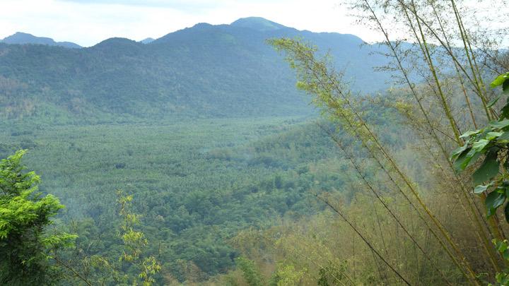 Nadukani Hills in Kottayam 