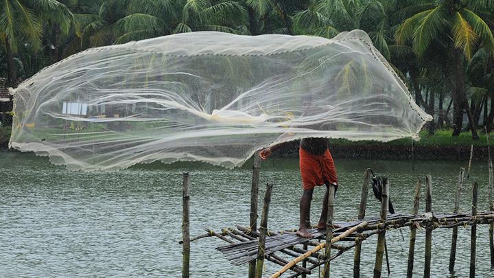 Valiyaparamba Backwaters – Explore the northern backwaters, Kasaragod 