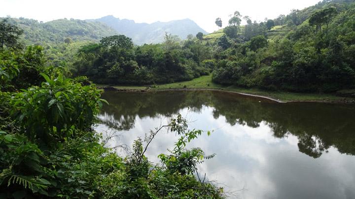 Vazhikkadavu, Hill station, Kottayam, Kerala, India 