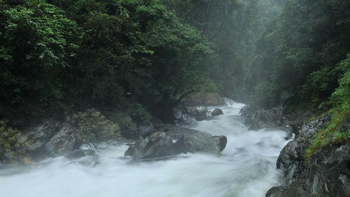 Meenmutty Waterfalls at Aralam Wildlife Sanctuary in Kannur 