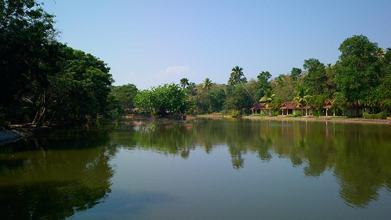 Kumarakom, Backwaters, Lake Vembanad, Kerala, India 