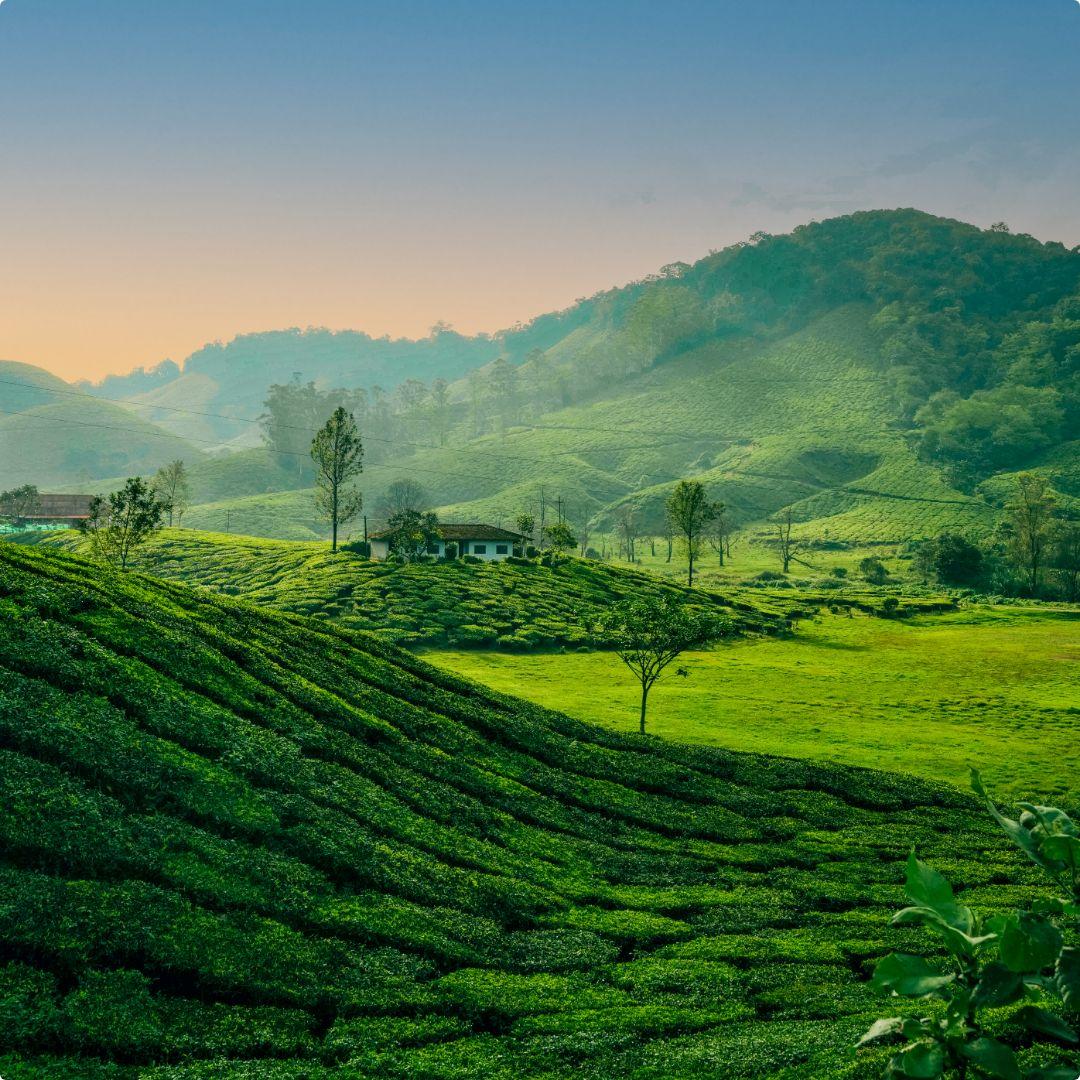 Munnar