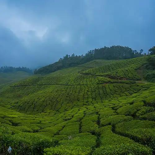 Idukki