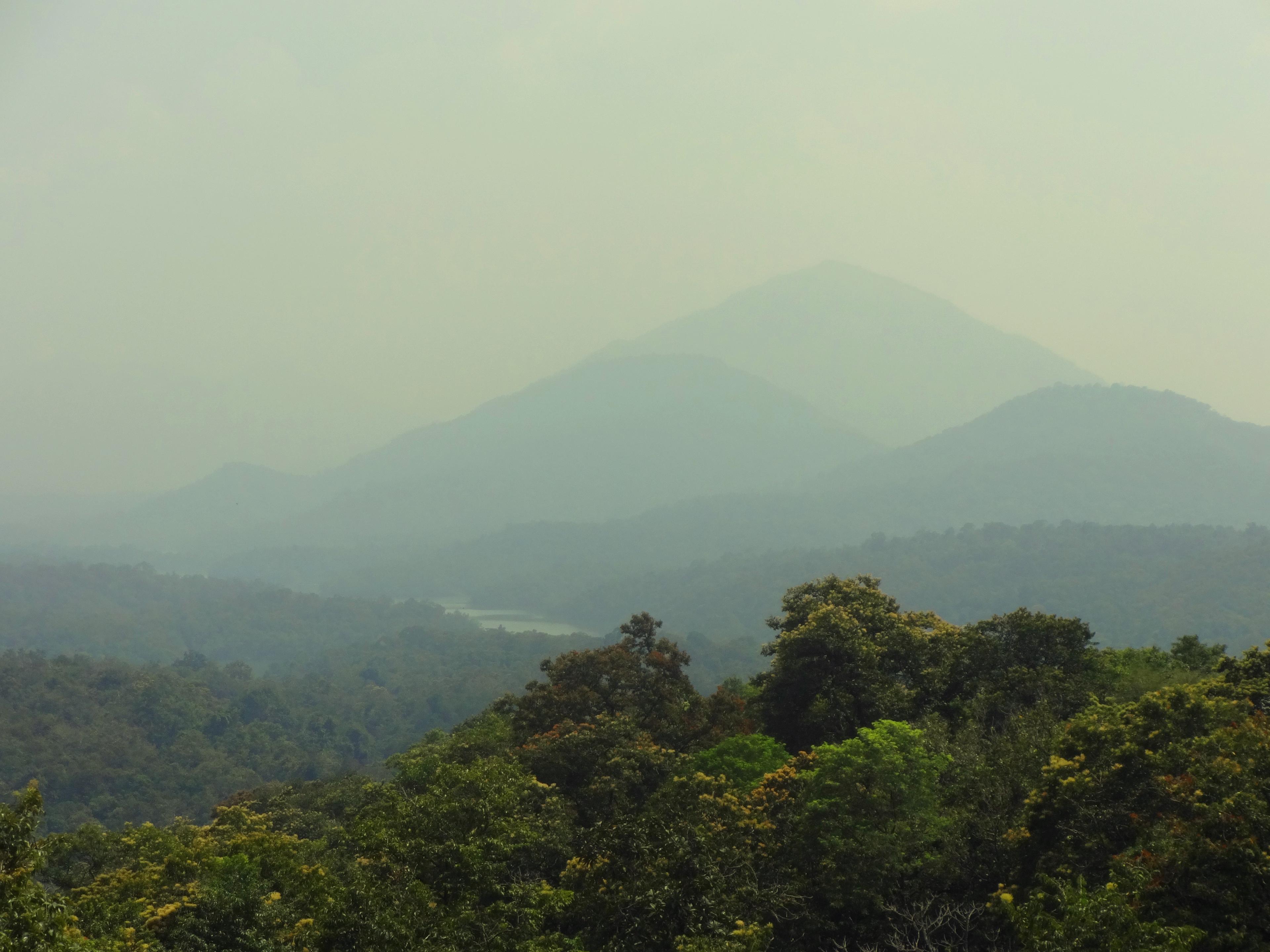 Agasthyamala Biosphere Reserve | Kottur