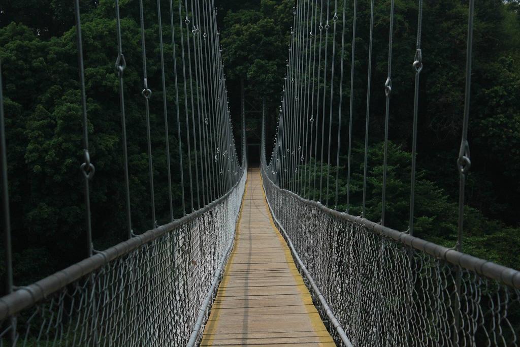 Hanging Bridge at Nilambur | Nedumkayam