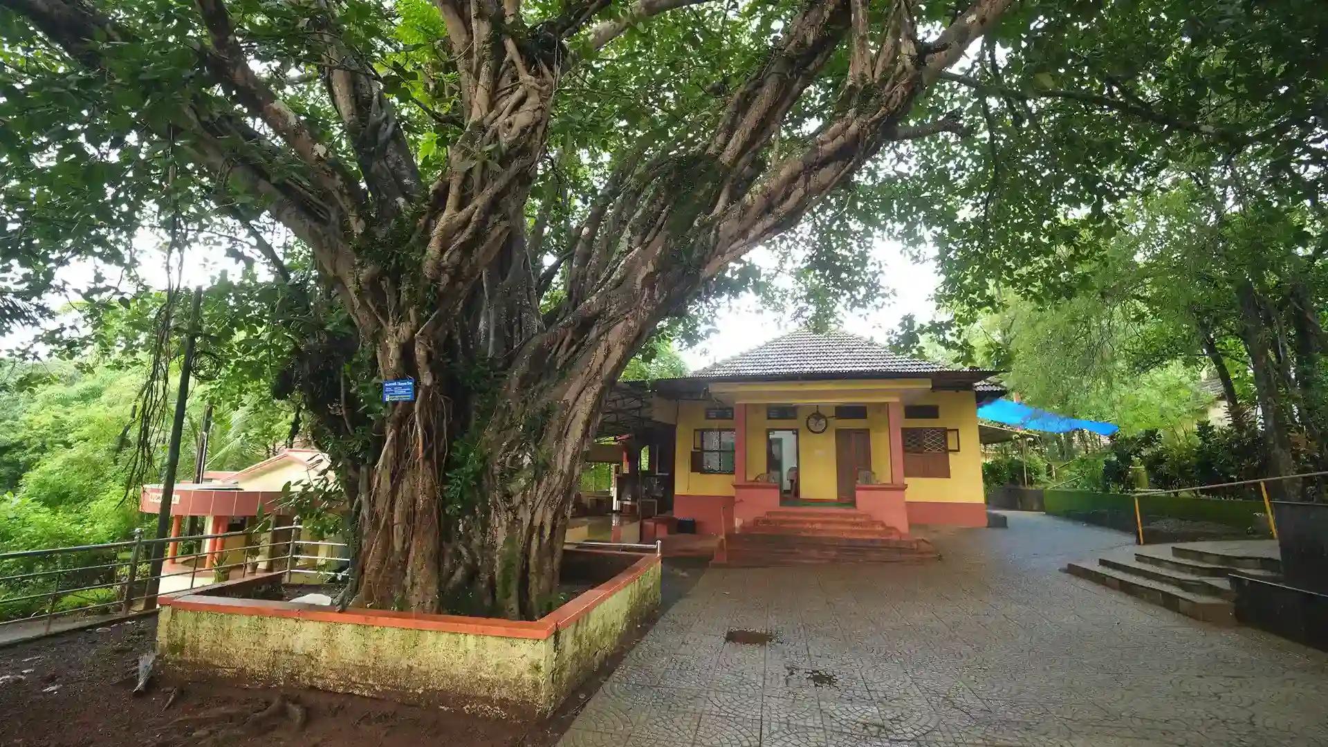 Anandashram