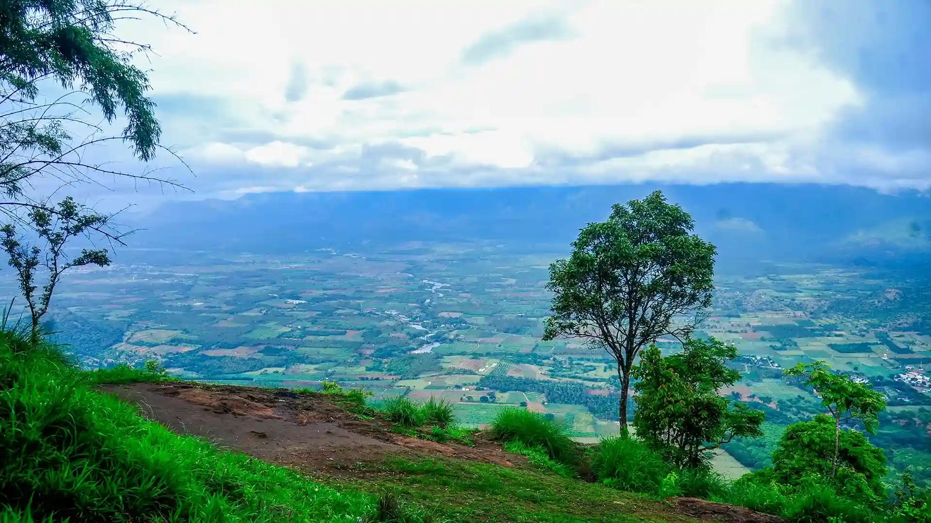 Pandikuzhi