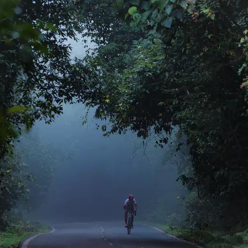 Tour of Thekkady