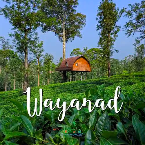 Wayanad