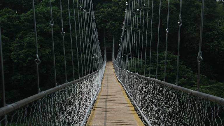 Hanging Bridge at Nilambur | Nedumkayam