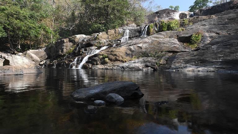 Kombai falls at Neyyar | Neyyar