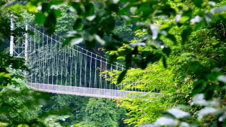 Nilambur's Hanging Bridge | Nedumkayam