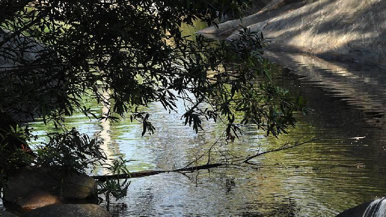 River Kallar | Ponmudi