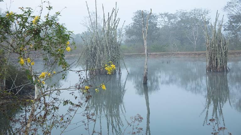 Serene waters | Wayanad Wildlife Sanctuary