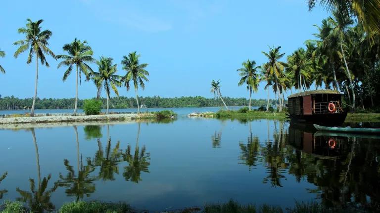 The Tranquil Poovar