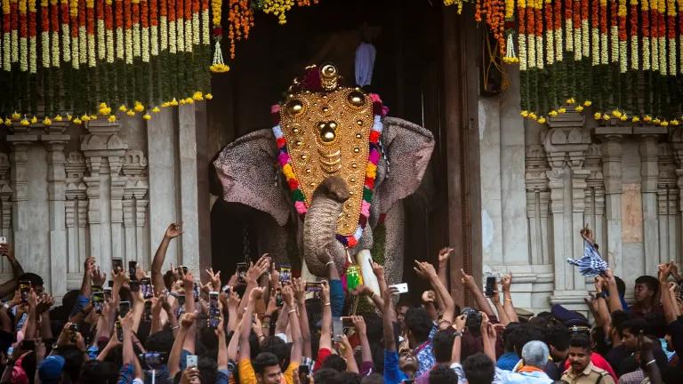 Thrissur Pooram