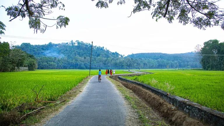 Thrithala, Palakkad