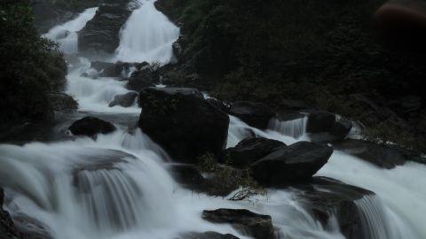 Aralam Wildlife Sanctuary, Kannur - 1