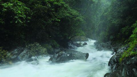 Aralam Wildlife Sanctuary, Kannur