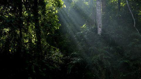 Arippa in Kollam 3