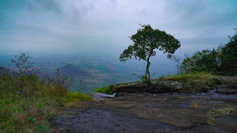 Aruvikkuzhy View Point