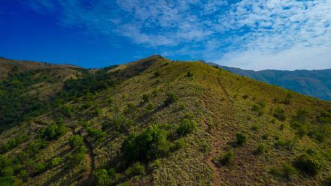 Brahmagiri Hills