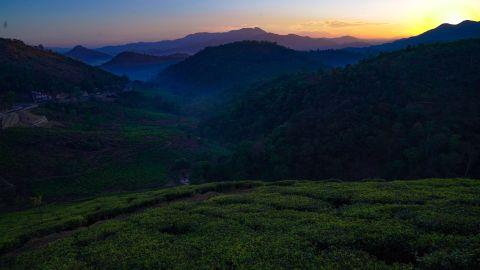 Elappara Tea Estate