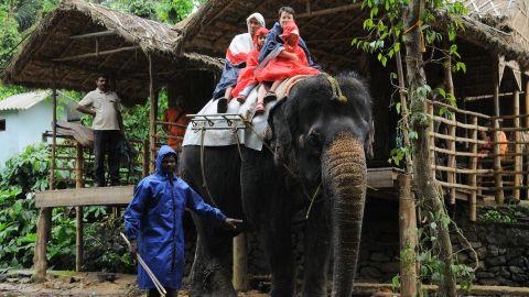 Elephant Safari, Idukki