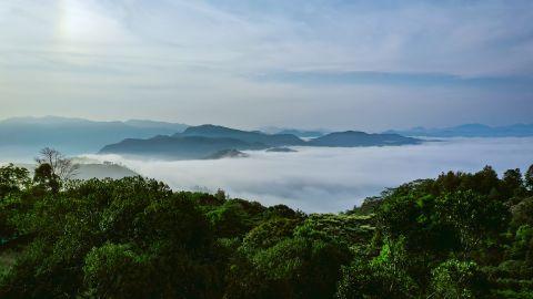 Gavi, Pathanamthitta