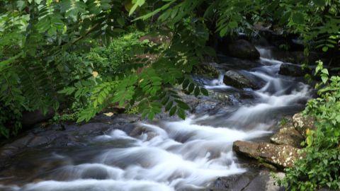 Ilaveezhapoonchira 3