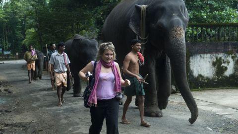 Kodanad Elephant camp - 2