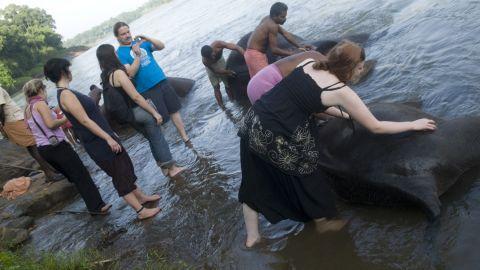 Kodanad Elephant camp - 5