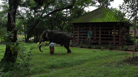 Konni Elephant Camp