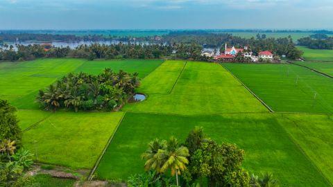 Kuttanad, Alappuzha