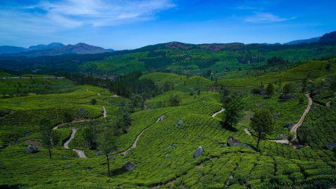 Munnar Gap Road