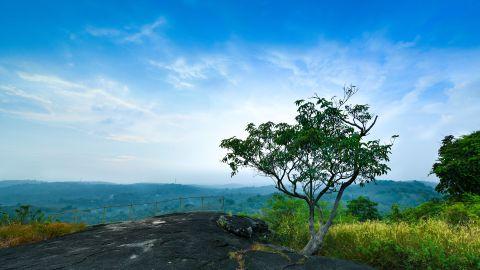 Muttara Maruthimala Hills