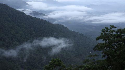 Neelimala, Wayanad