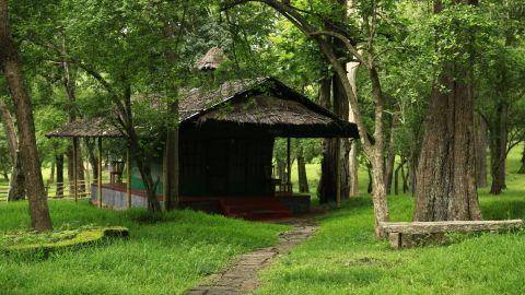 Parambikulam Tiger Reserve, Palakkad