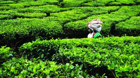 Peermedu in Idukki