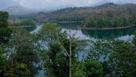 Peppara Dam