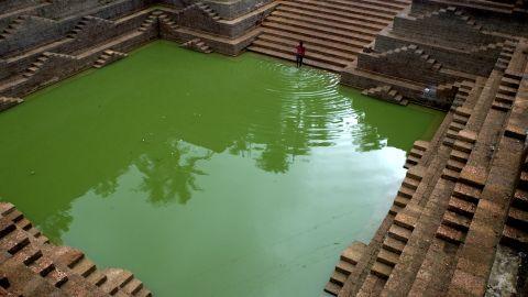 Peralassery Subramania Temple Pond