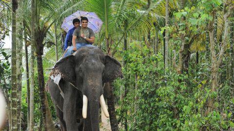 Plantation tour, Elephant Safari