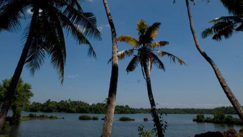 Ponnumthuruthu Island