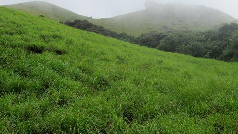 Ranipuram hills