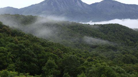 Silent Valley, Palakkad