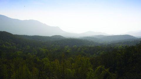 Silent Valley, Palakkad