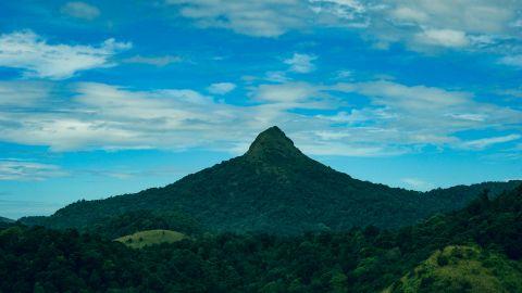 Silent Valley, Palakkad