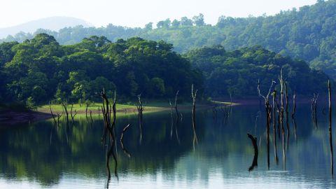 Thekkady, Idukki